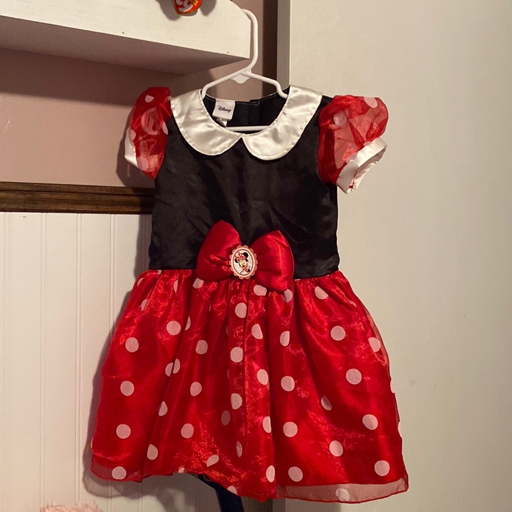 Disney costume